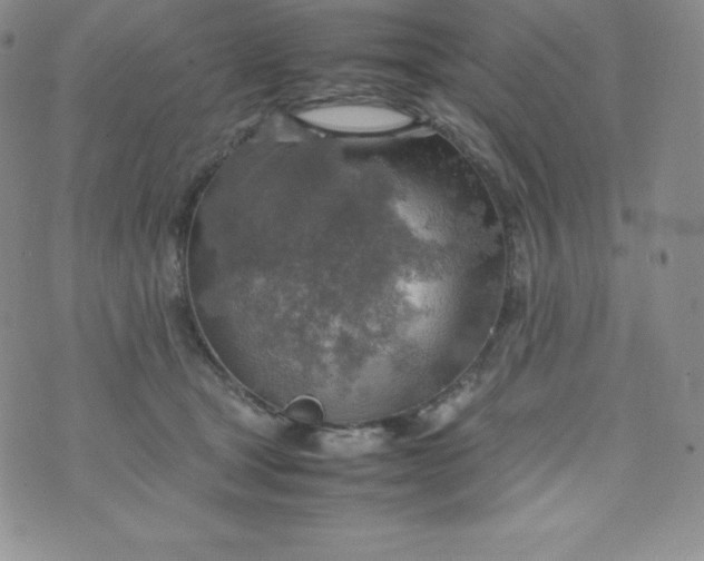 X0000070370465200606301900