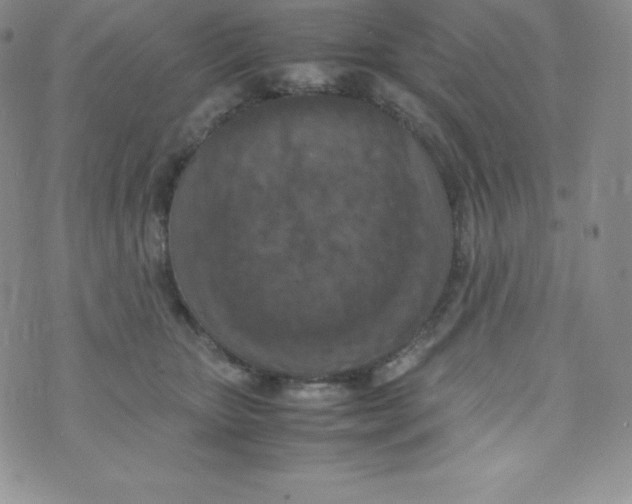 X0000070370467200606301901