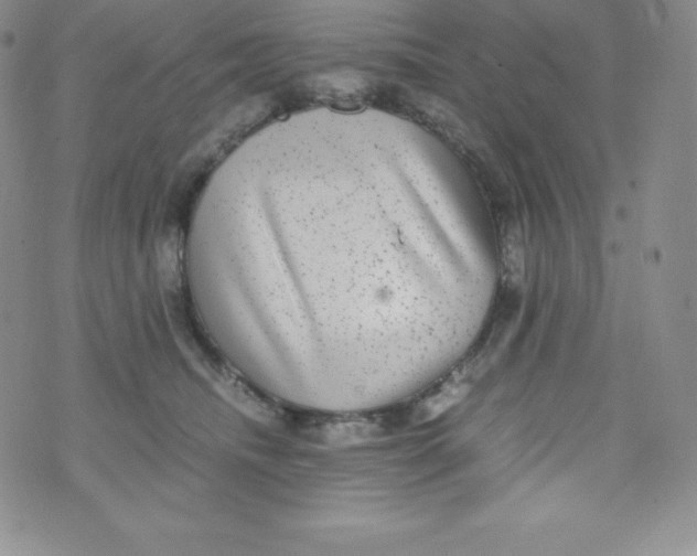 X0000070370468200606301901