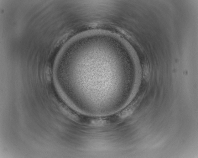 X0000070370470200606301901