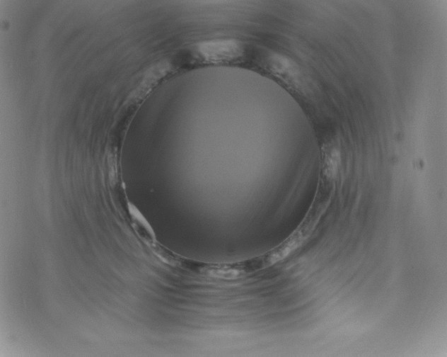 X0000070370471200606301901