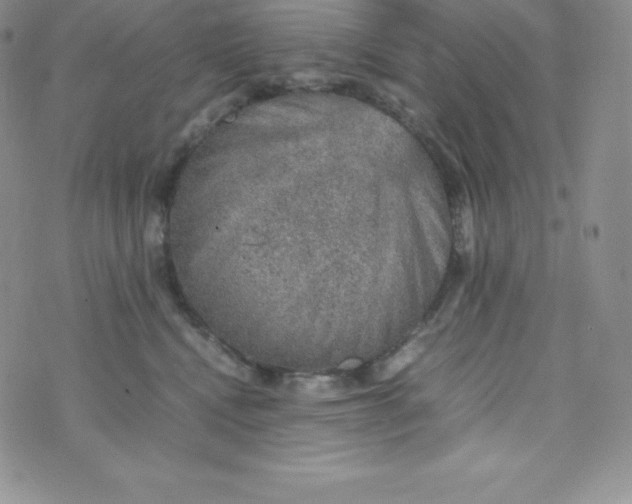 X0000070370472200606301901