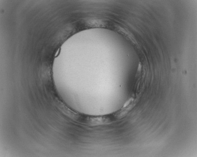 X0000070370473200606301901