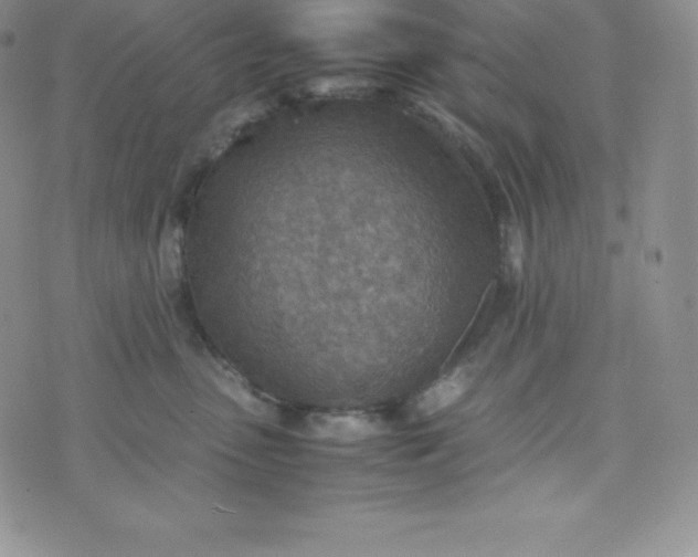 X0000070370475200606301901