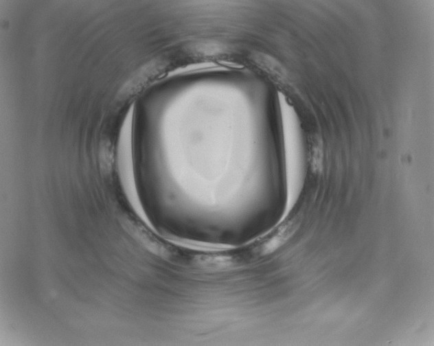 X0000070370476200606301901