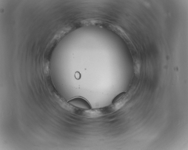 X0000070370477200606301901