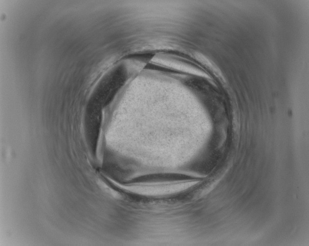 X0000070370481200606301900