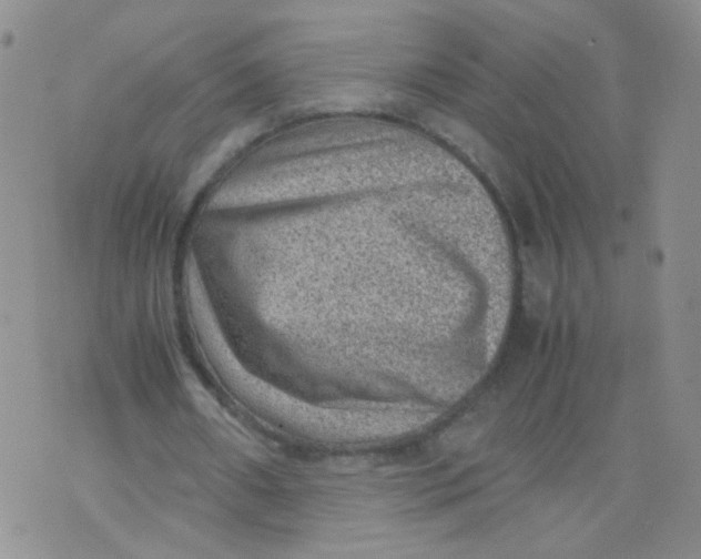 X0000070370482200606301900