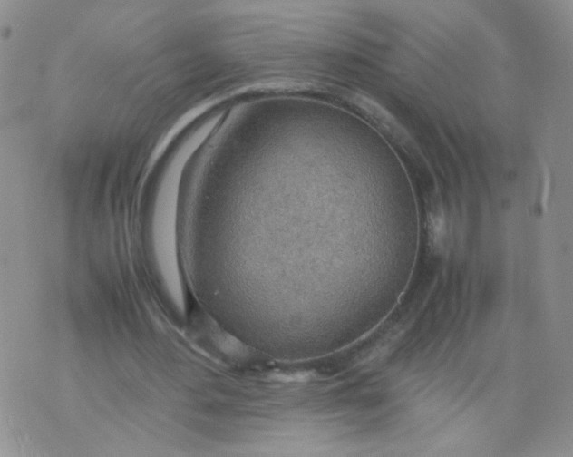 X0000070370484200606301900