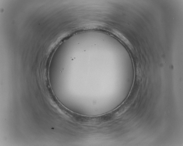 X0000070370485200606301900