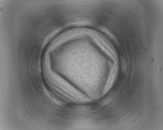 X0000070370486200606301900