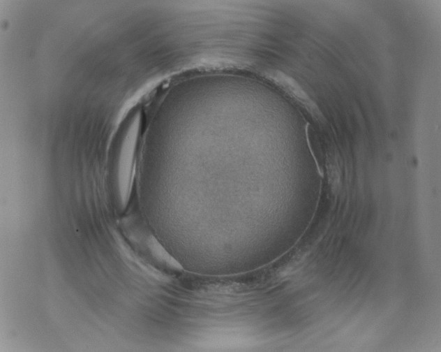 X0000070370488200606301900