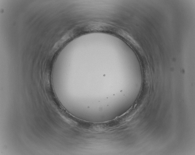 X0000070370489200606301900