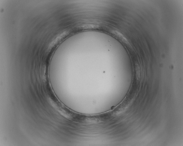 X0000070370490200606301900