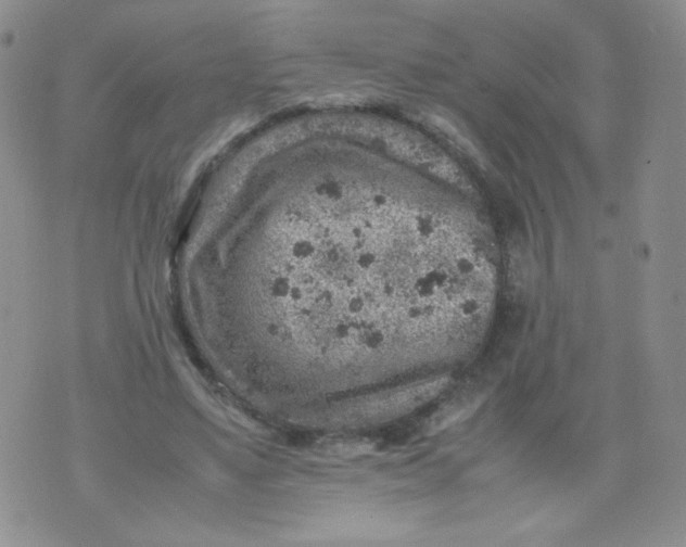 X0000070370491200606301900