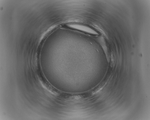 X0000070370492200606301900