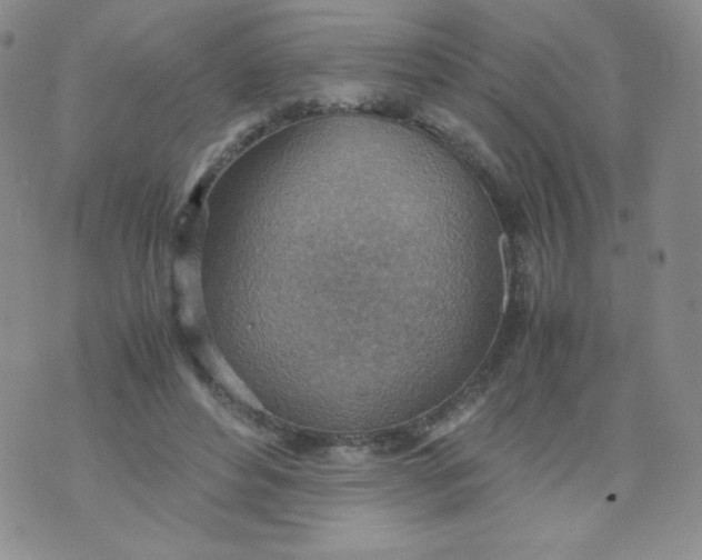 X0000070370496200606301900