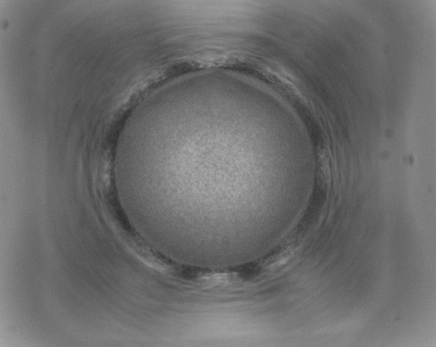 X0000070370499200606301900