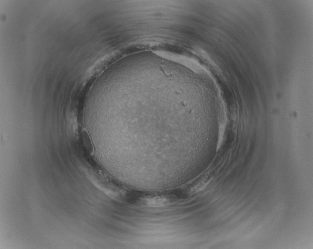 X0000070370500200606301900