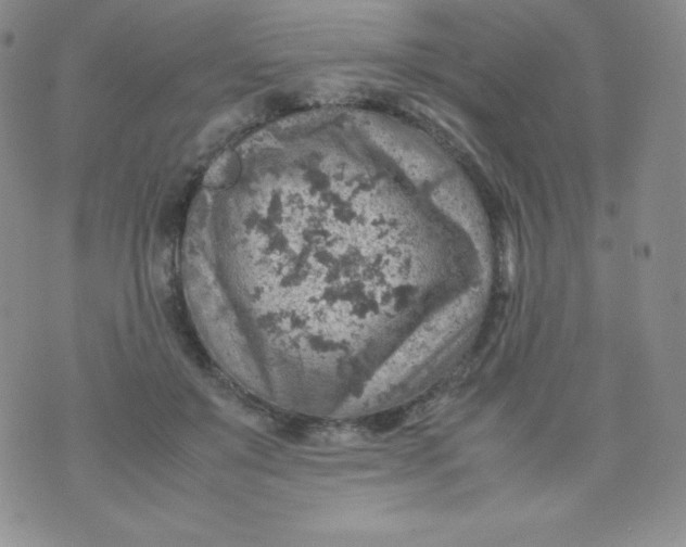 X0000070370503200606301900