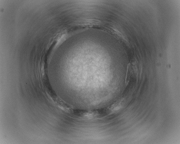 X0000070370504200606301900