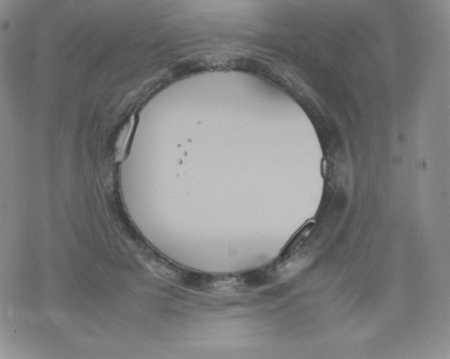 X0000070370505200606301900