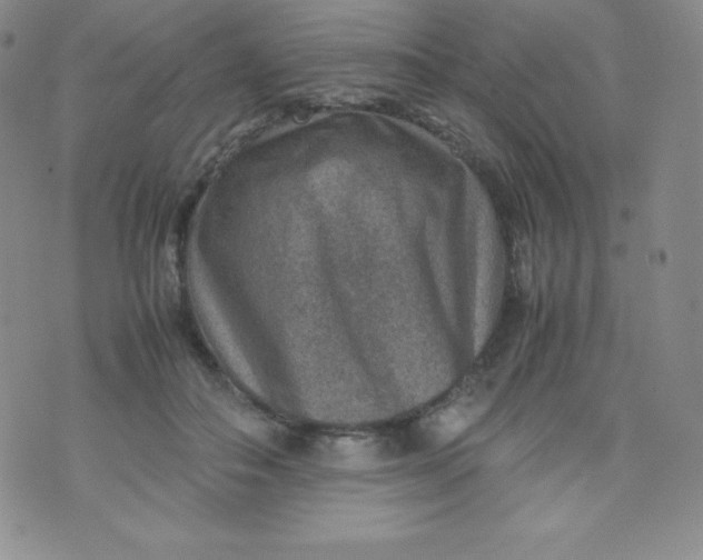 X0000070370506200606301900