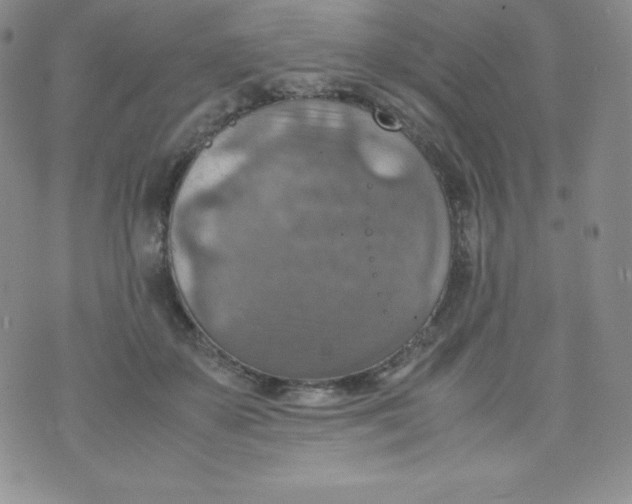 X0000070370507200606301900