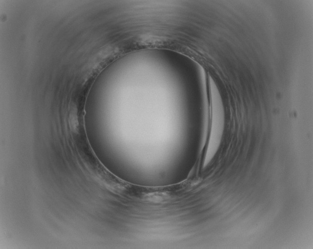 X0000070370508200606301900