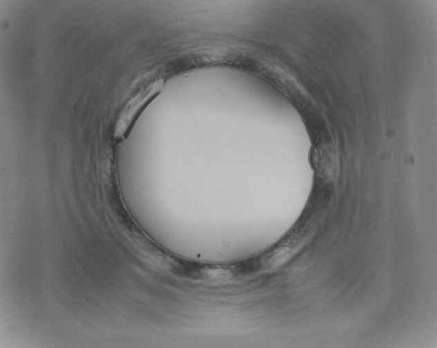 X0000070370509200606301859