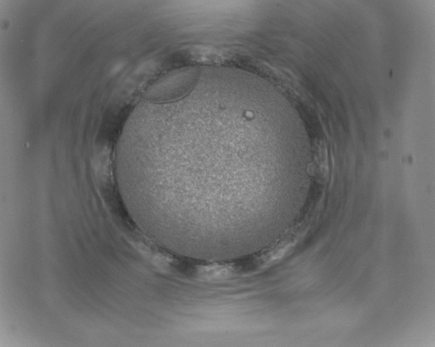 X0000070370511200606301859