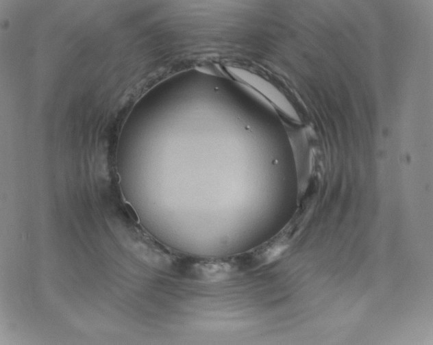 X0000070370512200606301859