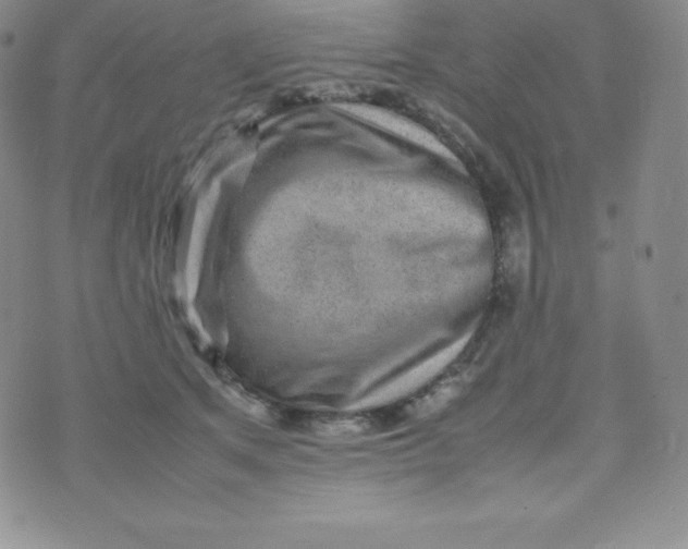 X0000070370513200606301859