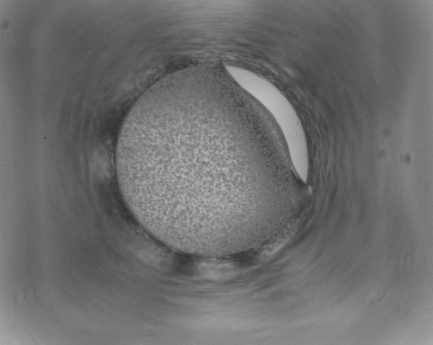 X0000070370515200606301859