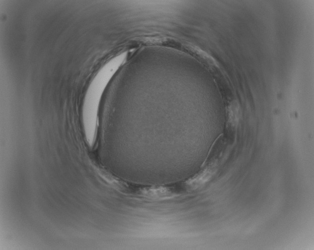 X0000070370517200606301859