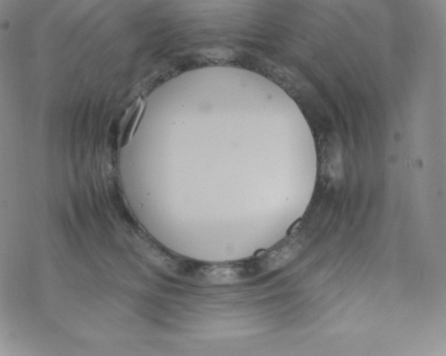 X0000070370518200606301859