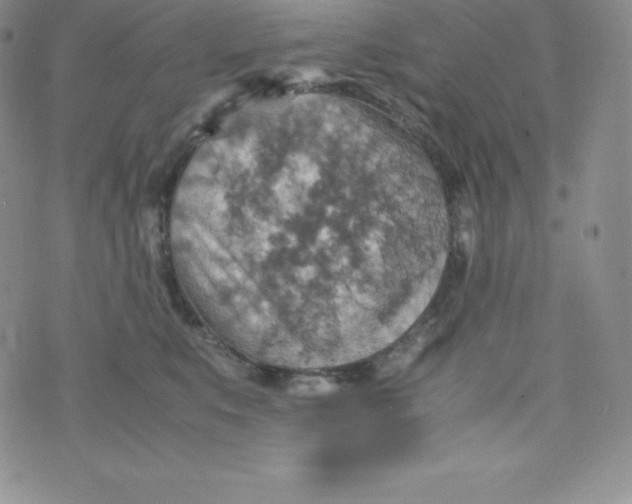 X0000070370519200606301859