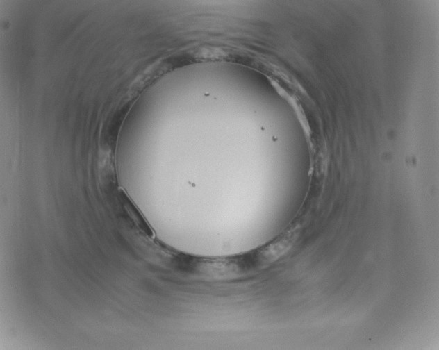 X0000070370521200606301859