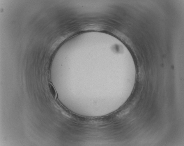 X0000070370529200606301858