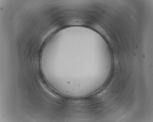 X0000070370533200606301858