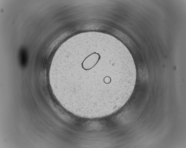 X0000070370534200606301858