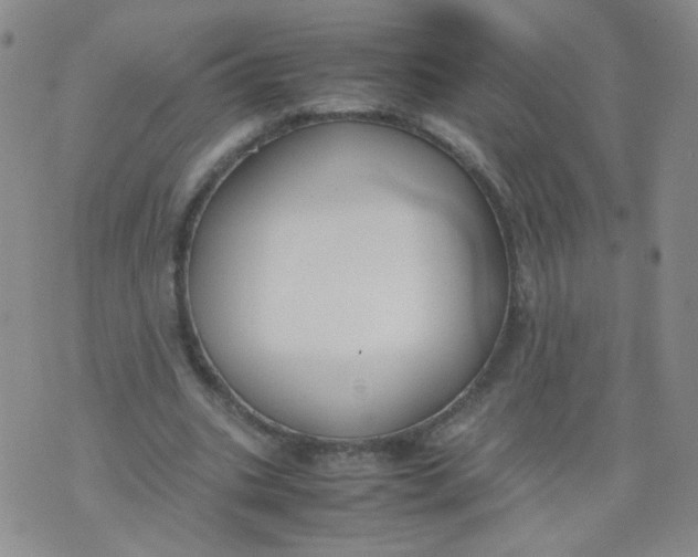 X0000070370535200606301859