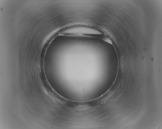 X0000070370536200606301859