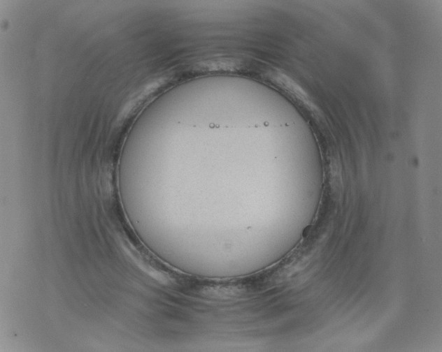 X0000070370537200606301859