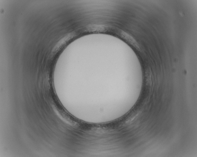 X0000070370538200606301859