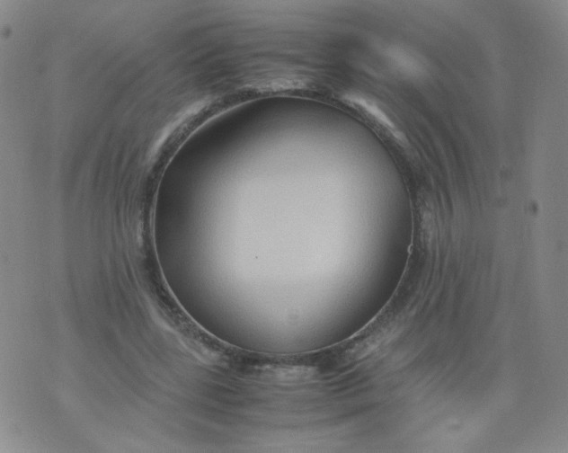 X0000070370539200606301859