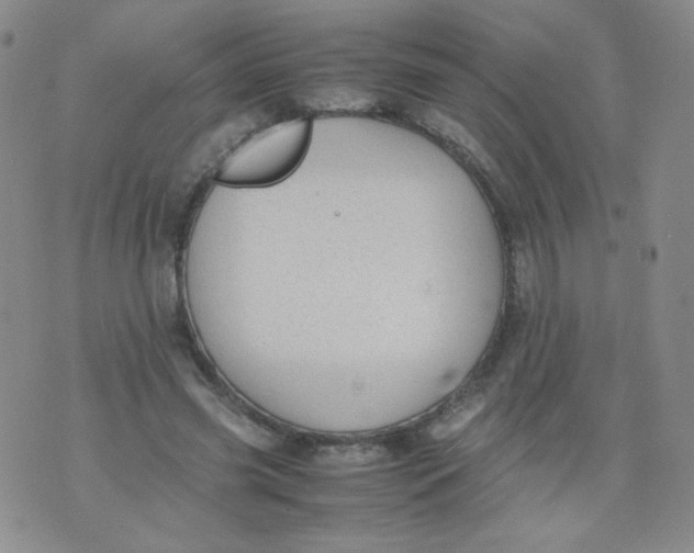 X0000070370541200606301859