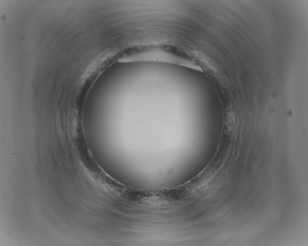 X0000070370544200606301859