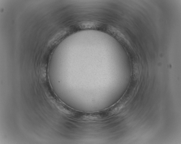 X0000070370545200606301859