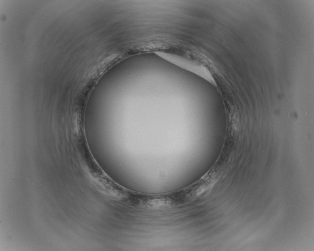 X0000070370546200606301859